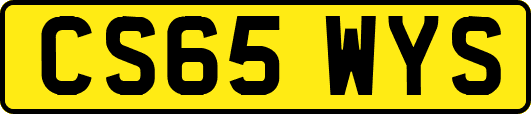 CS65WYS