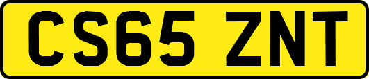 CS65ZNT
