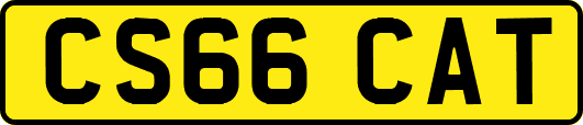 CS66CAT