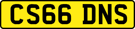 CS66DNS