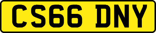 CS66DNY