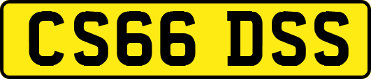CS66DSS