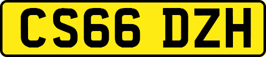 CS66DZH