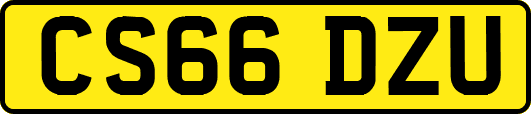 CS66DZU