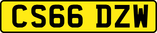 CS66DZW