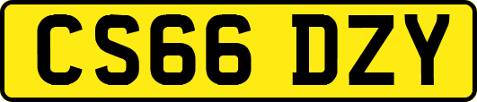 CS66DZY