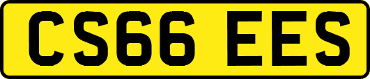 CS66EES