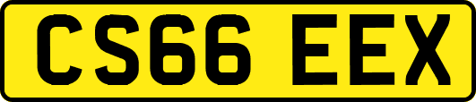 CS66EEX