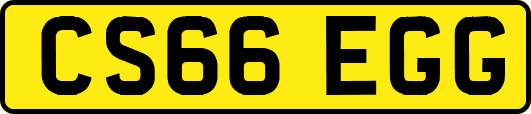 CS66EGG