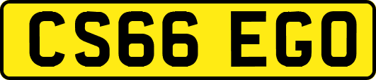 CS66EGO