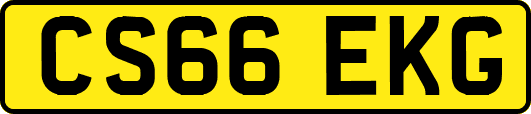 CS66EKG