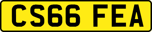 CS66FEA