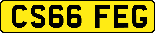 CS66FEG