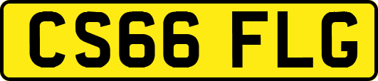 CS66FLG