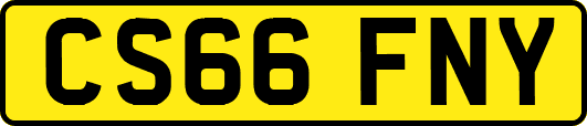 CS66FNY