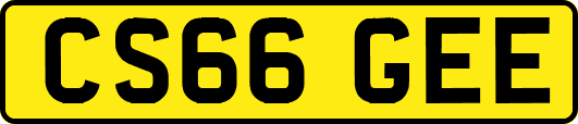 CS66GEE