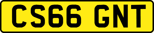 CS66GNT