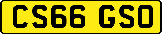 CS66GSO