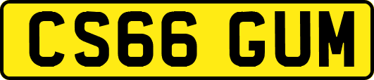 CS66GUM