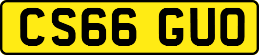 CS66GUO