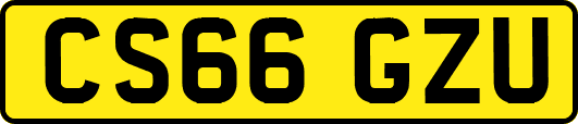 CS66GZU