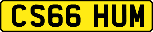 CS66HUM