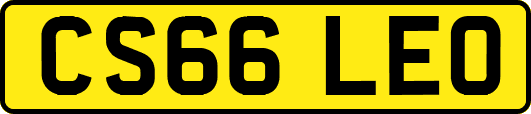 CS66LEO