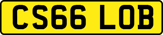 CS66LOB