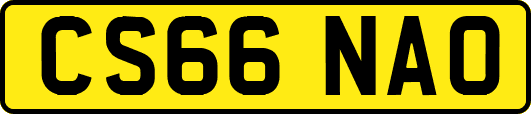 CS66NAO