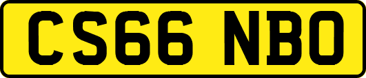 CS66NBO