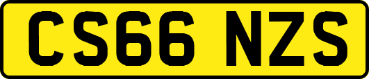 CS66NZS