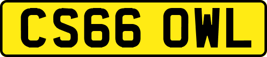 CS66OWL