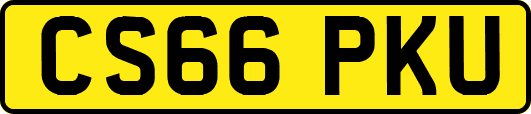 CS66PKU