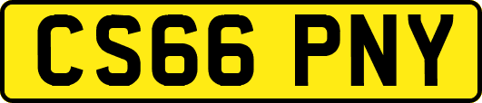 CS66PNY
