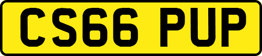 CS66PUP