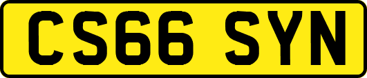 CS66SYN