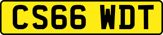 CS66WDT