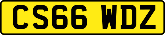 CS66WDZ