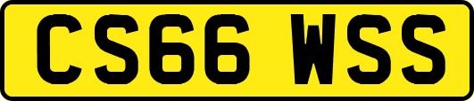 CS66WSS