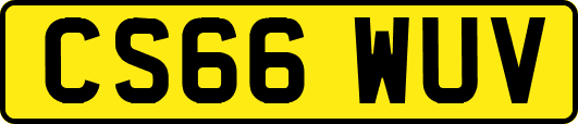 CS66WUV
