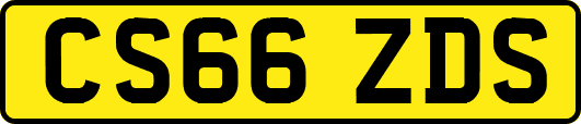 CS66ZDS