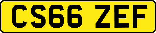 CS66ZEF