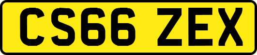 CS66ZEX