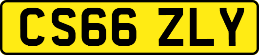 CS66ZLY
