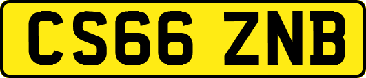 CS66ZNB
