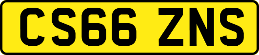 CS66ZNS