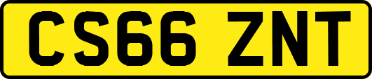 CS66ZNT