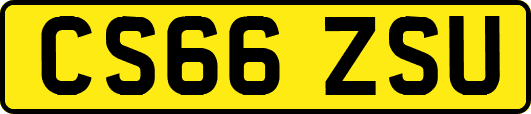 CS66ZSU