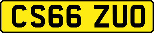 CS66ZUO