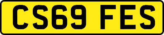 CS69FES